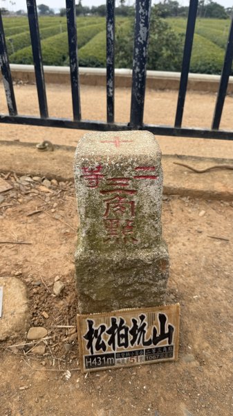 20260102松柏嶺登廟步道+松柏坑山、田園茶香賞茶步道+坑內坑森林步道2982911