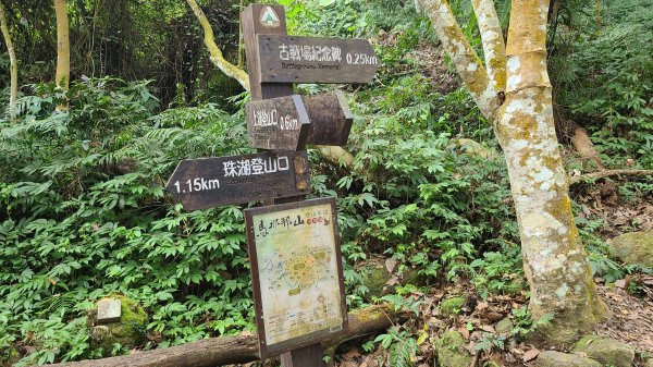 2021-1202 馬那邦山O型1535337