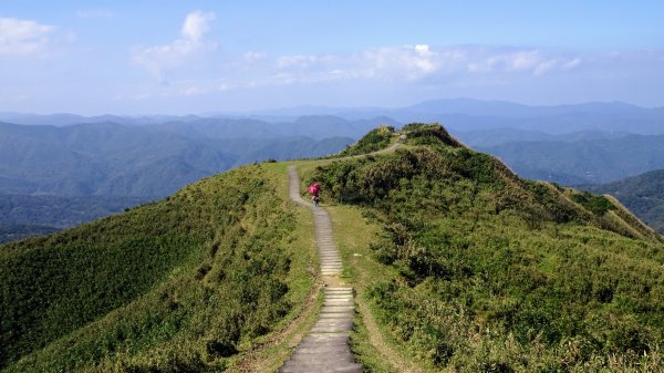 灣坑頭山，大里上大溪下1993801