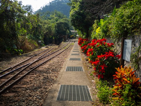 獨立山步道2961176