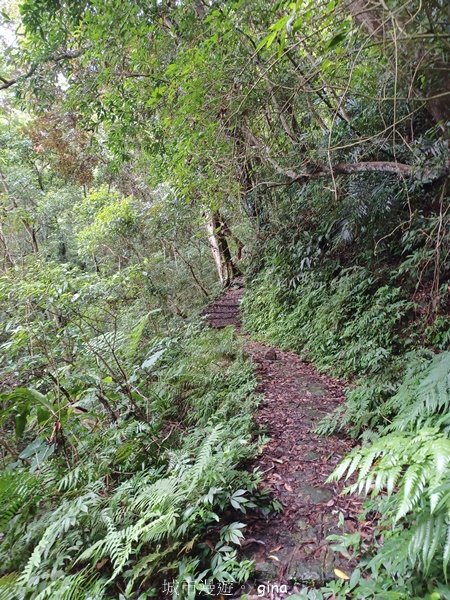 【新竹橫山】廢棄小學變身山城驛站。 逃學古道x大山北月2623213