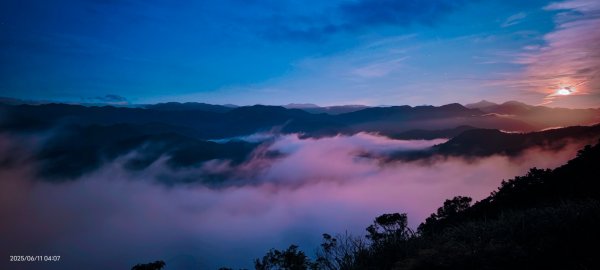 跟著雲海達人山友追雲趣 #草莓月亮 #月圓雲海 #霞光 #日出雲海 #茶園 6/112808756