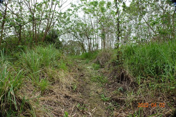 臺南 關廟 大潭山1663572