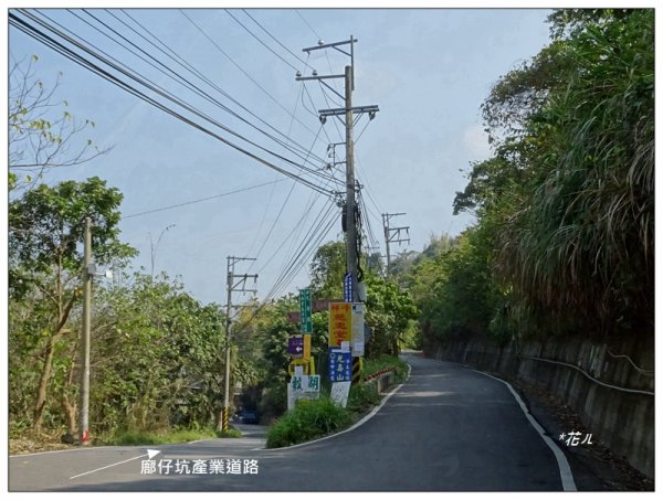 東南坑山(台中-太平)1279606