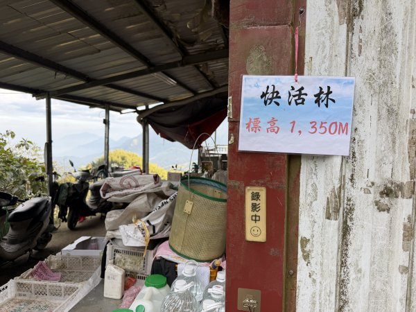 溪頭四秀+羊彎四秀202601182991358