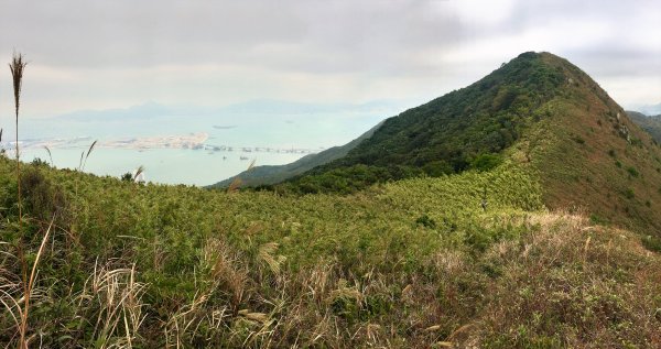 香港山系 － 大嶼山931056