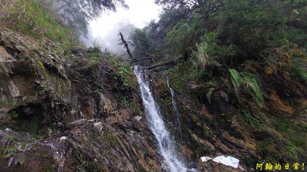 嘉明湖、向陽山、三叉山2298247