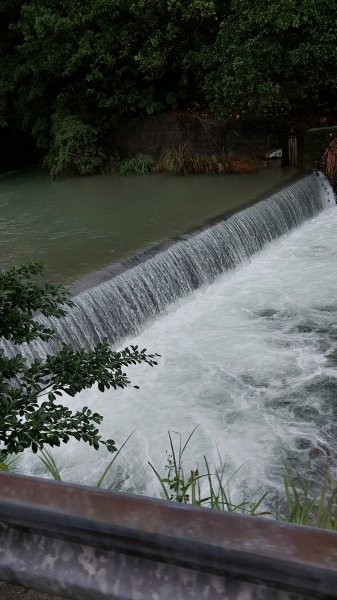 20221105-草嶺古道+桃源谷步道1902570