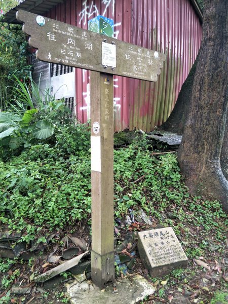 大崙頭山1299818