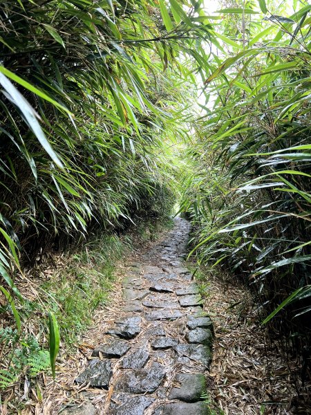 【臺北大縱走第三段】小油坑→風櫃口 之 天雨路滑小孩還特別多2178601