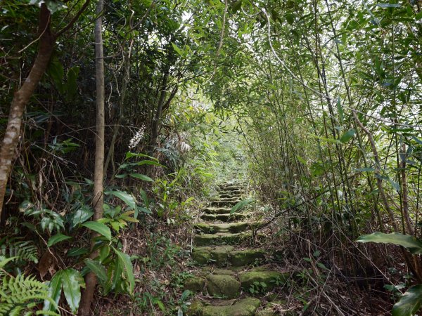 [淡蘭古道] 2026_0531 北路第四段_金字碑古道(上)-牡丹段3071014