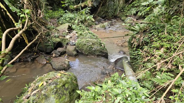 20250804溪山百年古圳-鵝尾山水田路-平菁步道O型2854794