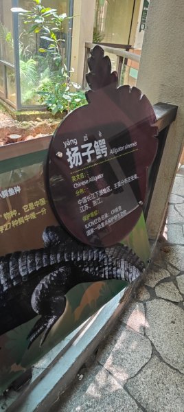 杭州動物園3089156