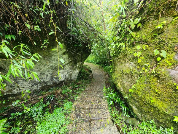 20250719頂湖上大凍山2907157