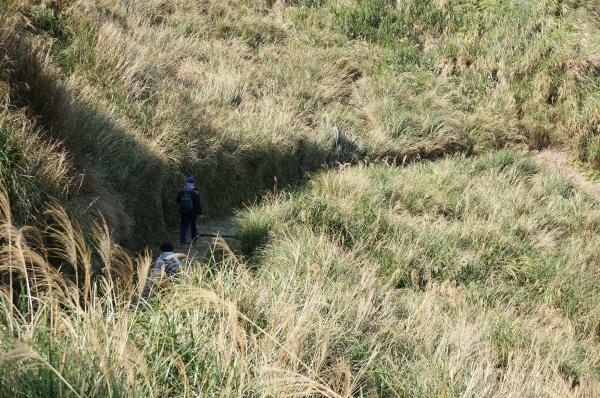 金包里大路90950