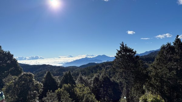 穿羅紗的「加羅湖」2943937