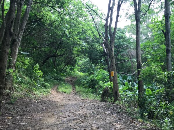 一江橋河堤道上三汀山370401