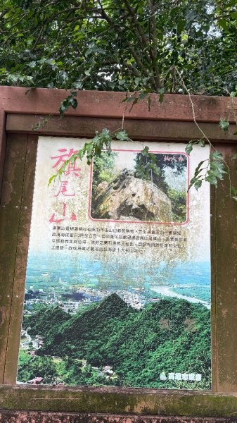 941（旗尾山2905650