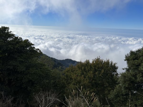 加里山 杜鵑嶺 2054峰 稜線遊玩 看雲海封面