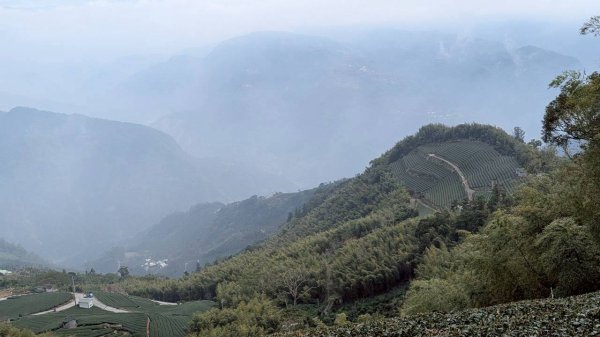 雲嘉五連峰 (大尖山、二尖山、馬鞍山、梨子腳山、太平山)2991066