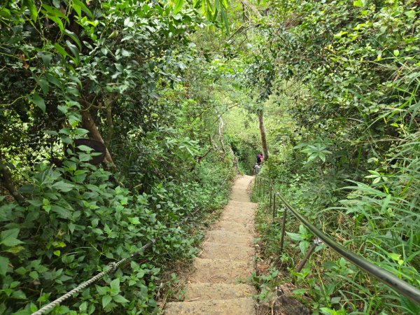 大社觀音山十三連峰環形2924416