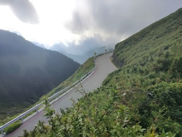 1141116麟趾山3098283