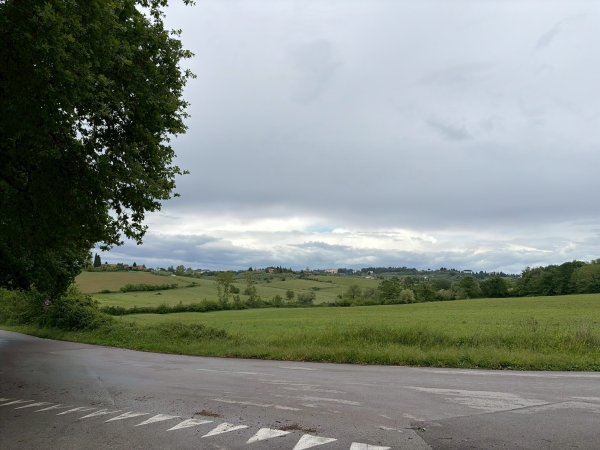 Via Francigena D3: monteriggioni-siena3072818