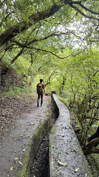 我的夏日健行→絹絲瀑布步道→冷水坑2203651