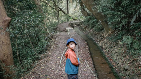 遇見淡水版花園鰻 - 半嶺水圳步道上游段 & 松溪瀑布