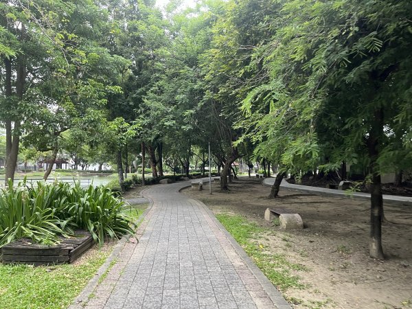 [全臺走路趣尋寶-25/100] 2024_0706_南瀛綠都心公園2546351