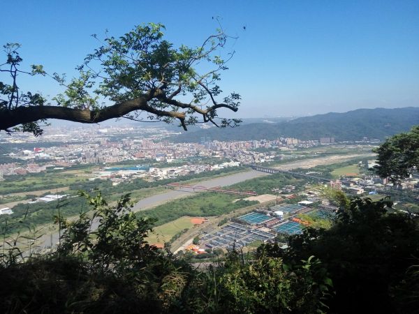 105.09.24 三峽-鳶山步道190823