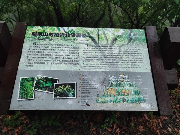 臺北大縱走第一段：關渡至二子坪2790236