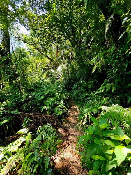 淡蘭南路第四段：𩻸魚堀溪自行車道至縣界公園2873630