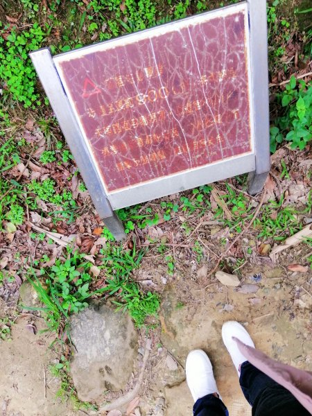 盡攬山海景迷人景緻。南子吝登山步道754314