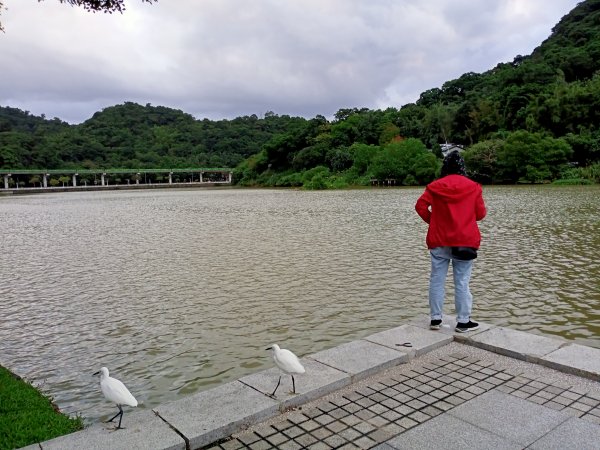 大港墘公園、大湖公園 (防災公園) - “非常愛尋寶”【走路趣尋寶，全臺齊步走】1883906