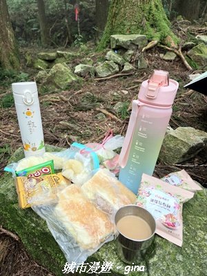【台中和平】橫嶺山自然步道_木馬古道3095026