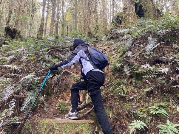 三星山登山步道(宜蘭)2412546