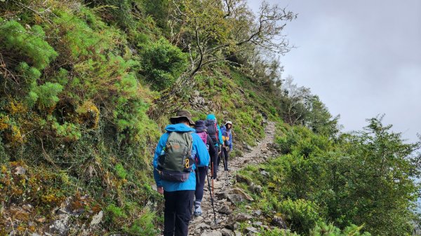 玉山前峰，關子嶺大凍山，宜蘭拳頭姆自然步道2313383