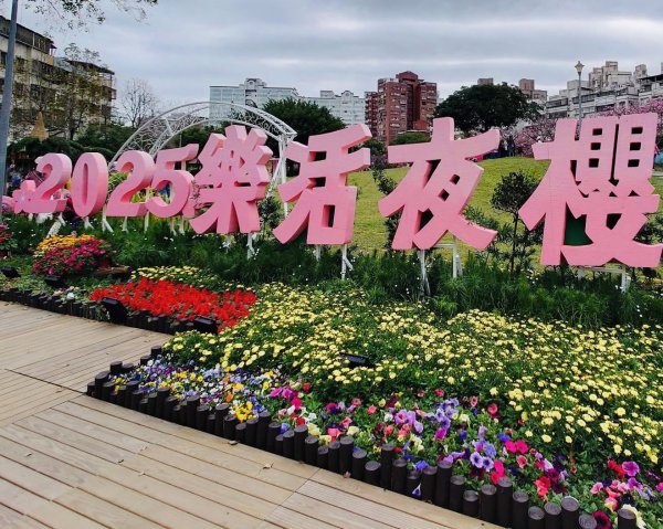 雙湖賞櫻🌸2709165