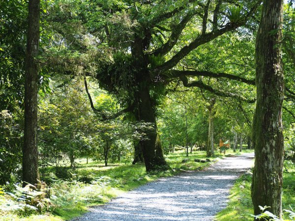 《宜蘭》植物博物館｜員山福山植物園201805182889168