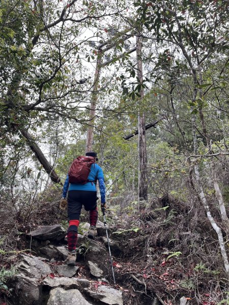 台中 和平 波津加山2761892