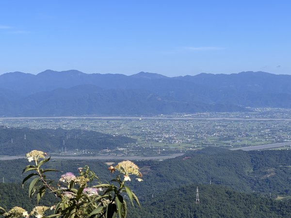 ~ 力霸產業道路(安平坑林道) ~3013749
