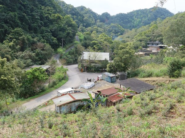 開眼崙步道，坪林老街2483046