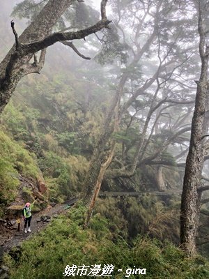 【南投信義】排雲山莊 x#15百岳_玉山西峰3111632