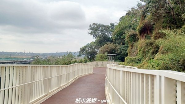 【苗栗三義】台灣百大必訪步道。 火炎山、南鞍古道O繞x火炎山下花海2954147
