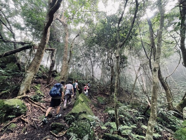 油羅山 2025 09/132890046