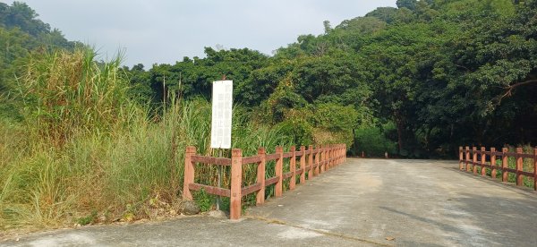 坑內坑森林步道.彰化二水2942299