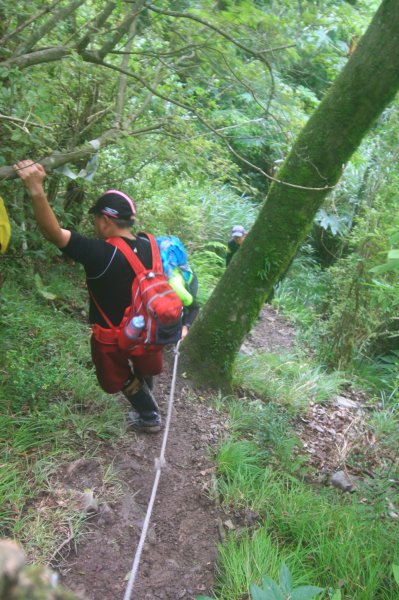 羅(葉尾山)馬(武佐野郡山)縱走816272