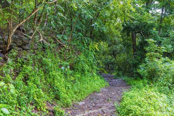 [屏東]笠頂山2847893