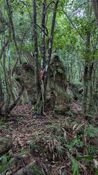 114.05.17聖人崙-聖人瀑布之旅2789513